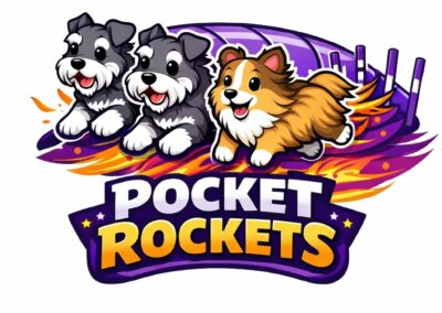 Pocket Rockets