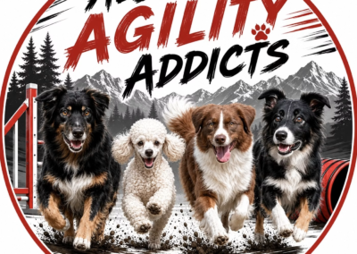 AbAgilityAddicts