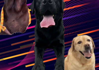 Labtastic