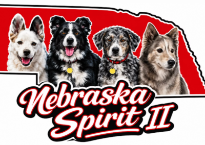 NESpirit2