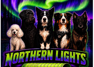NorthernLights